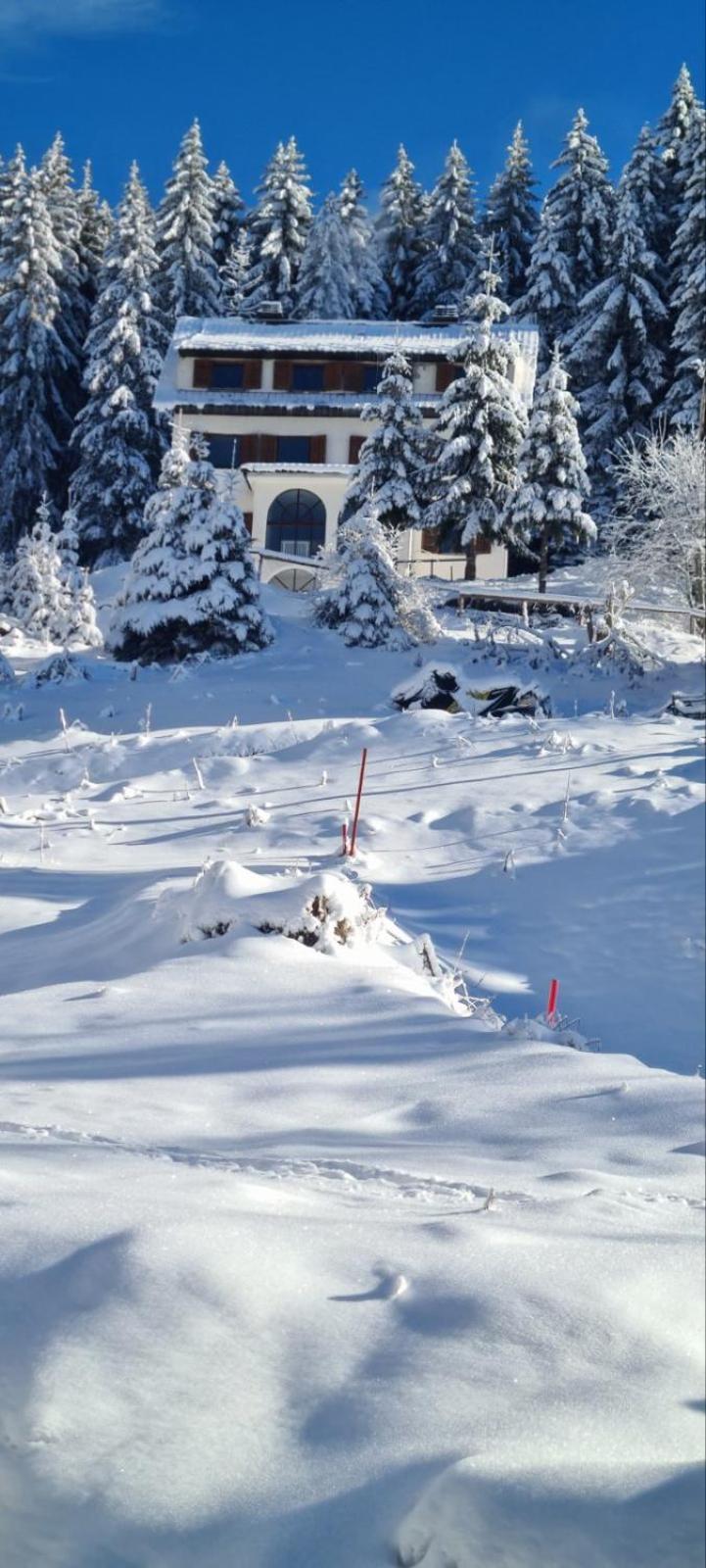 Villa Kostic Kopaonik Extérieur photo