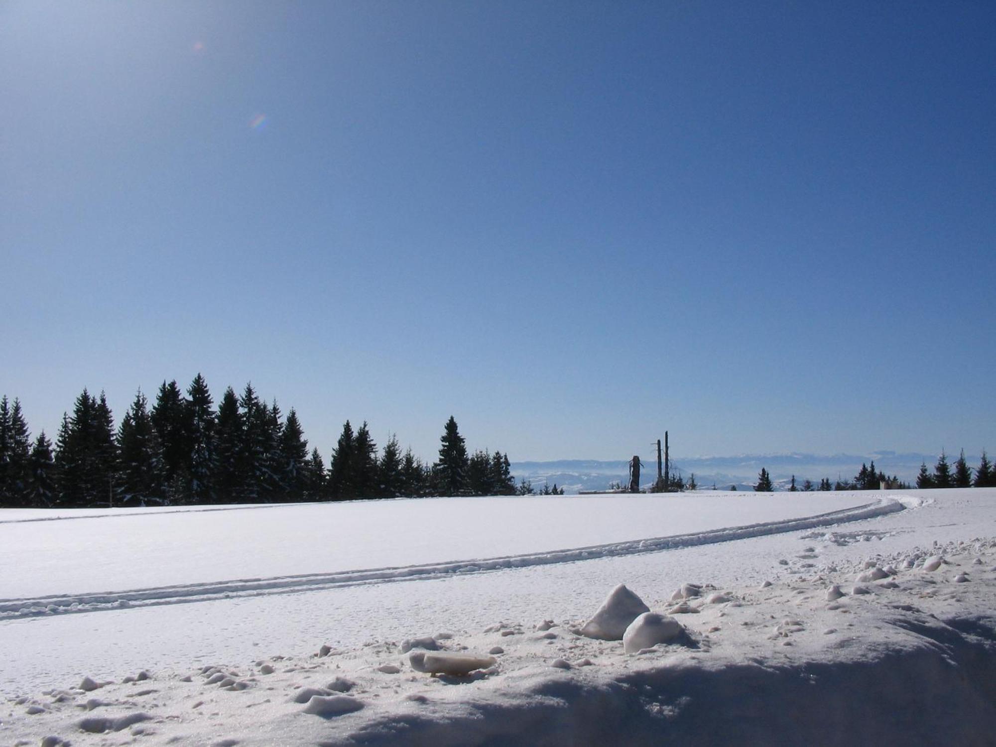 Villa Kostic Kopaonik Extérieur photo