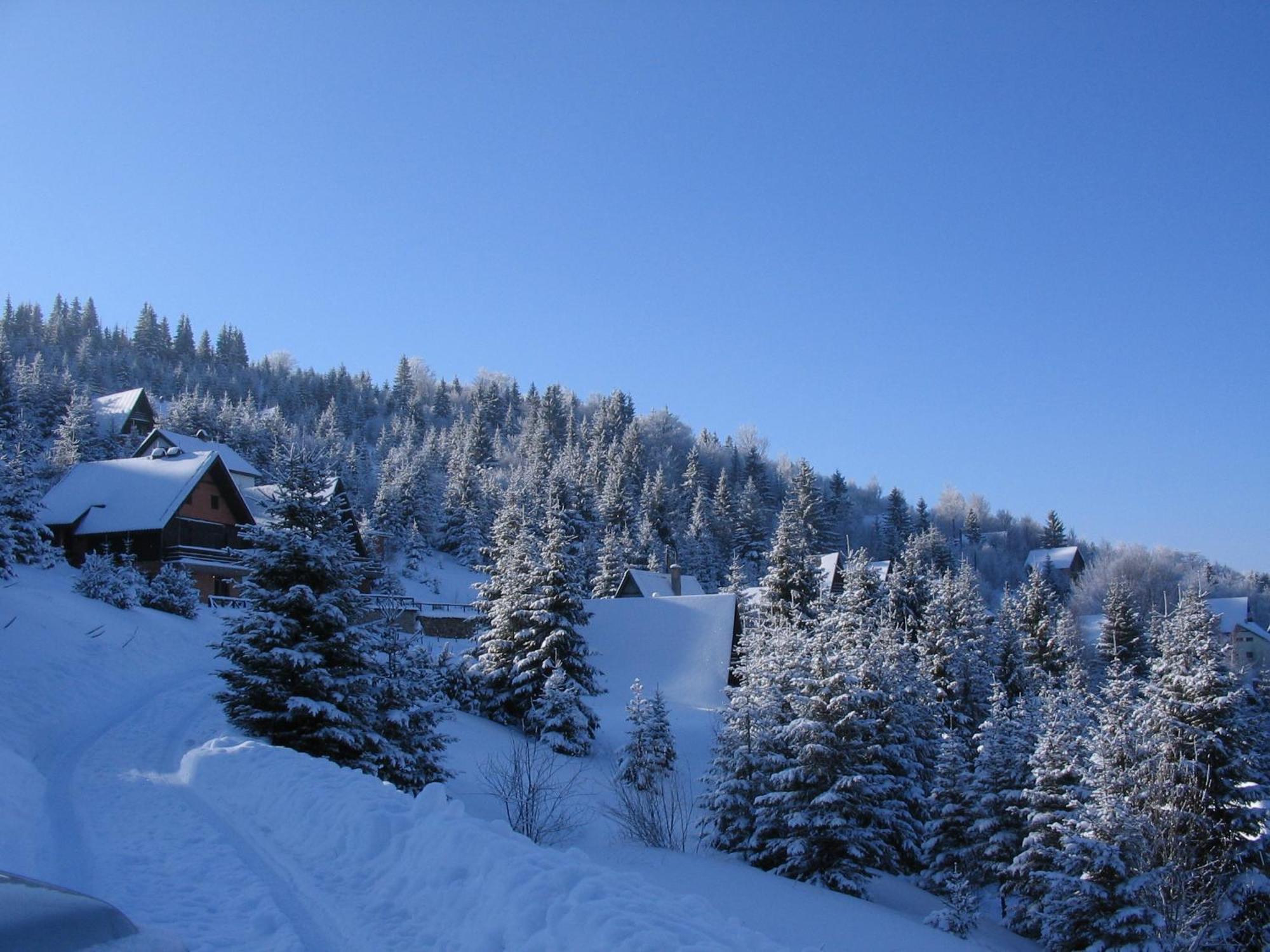 Villa Kostic Kopaonik Extérieur photo