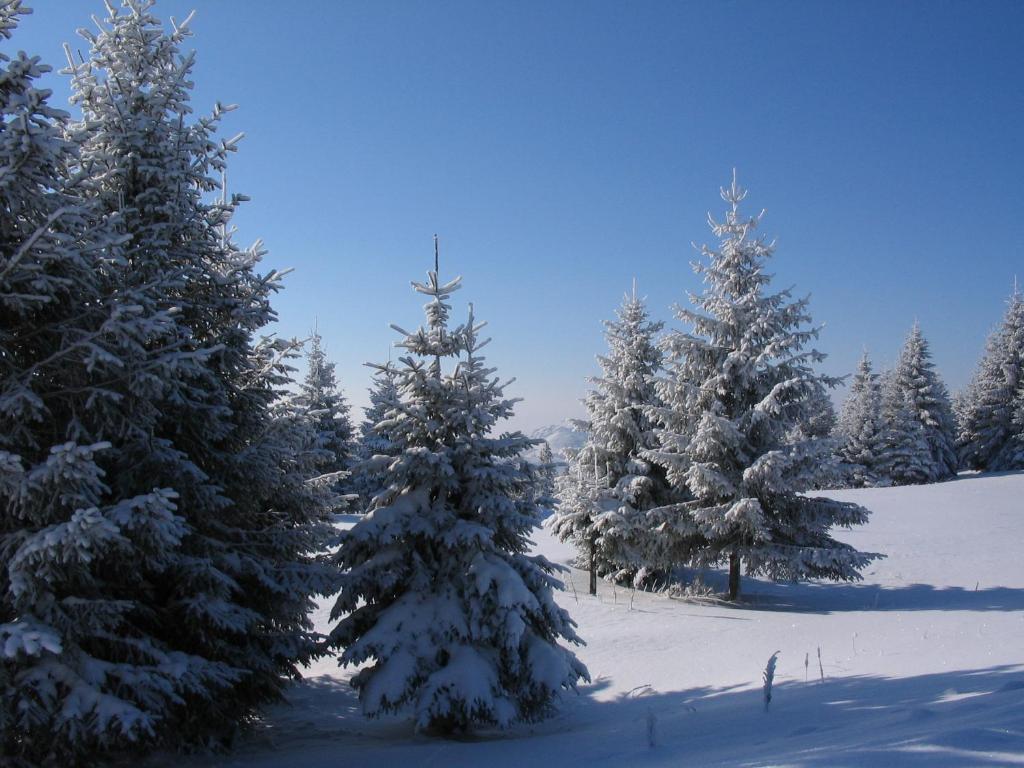 Villa Kostic Kopaonik Extérieur photo