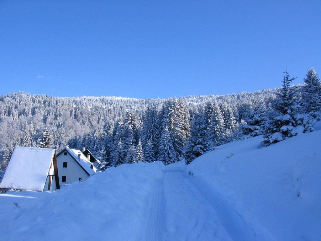 Villa Kostic Kopaonik Extérieur photo