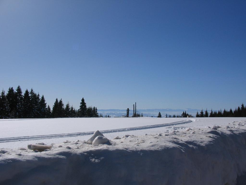 Villa Kostic Kopaonik Extérieur photo